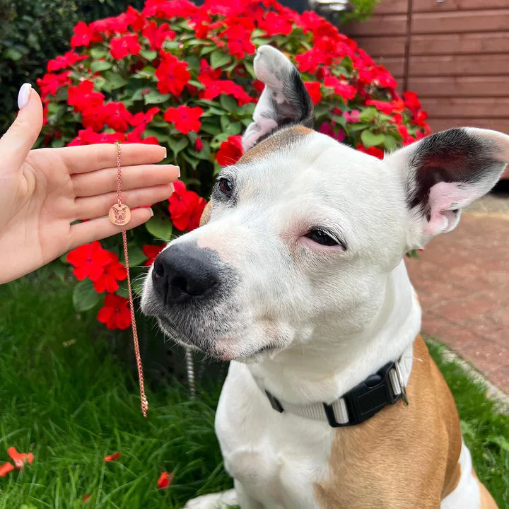 Personalisierte Haustiergesicht Halskette